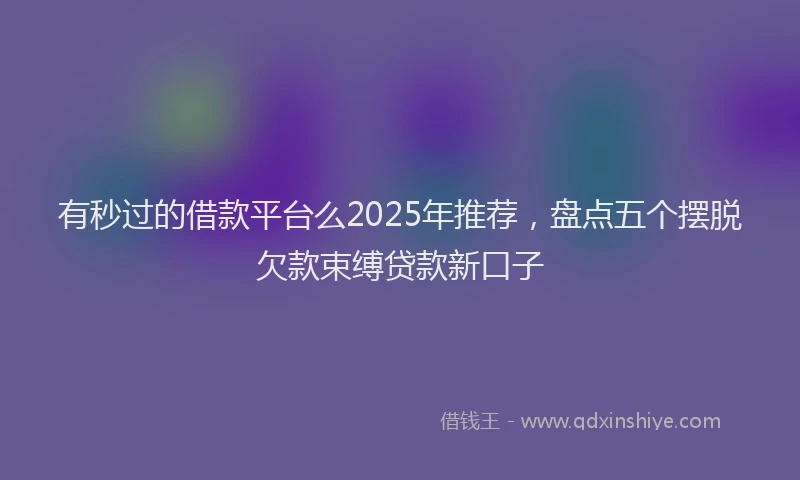 有秒过的借款平台么2025年推荐，盘点五个摆脱欠款束缚贷款新口子