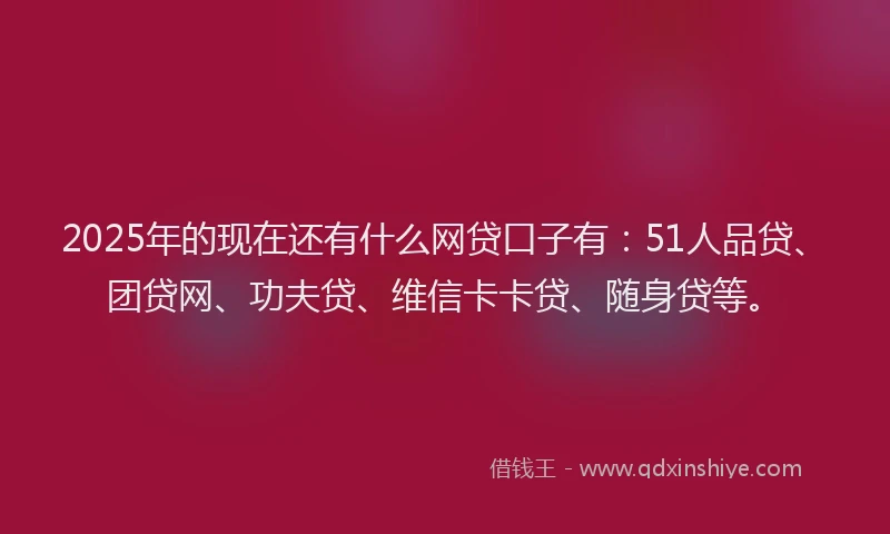 2025年的现在还有什么网贷口子有：51人品贷、团贷网、功夫贷、维信卡卡贷、随身贷等。