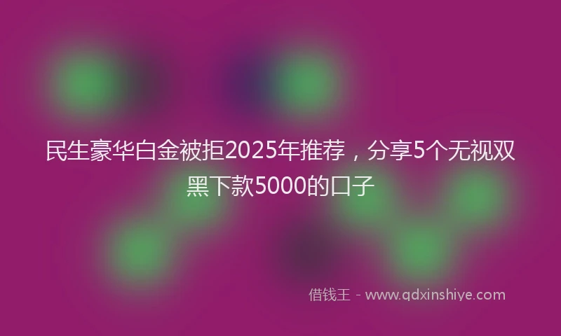 民生豪华白金被拒2025年推荐，分享5个无视双黑下款5000的口子