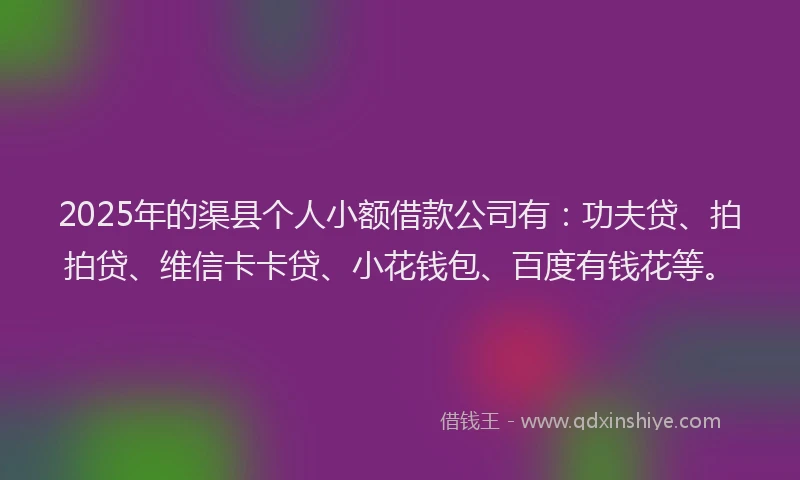 2025年的渠县个人小额借款公司有：功夫贷、拍拍贷、维信卡卡贷、小花钱包、百度有钱花等。