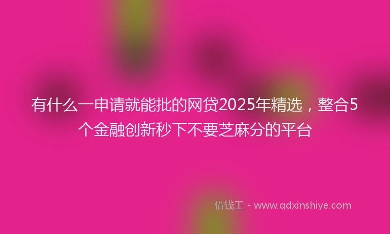 有什么一申请就能批的网贷2025年精选，整合5个金融创新秒下不要芝麻分的平台