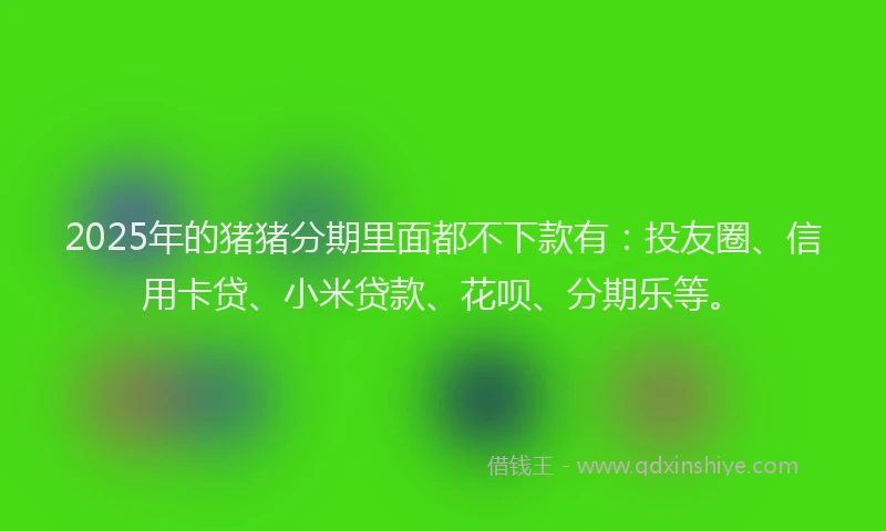 2025年的猪猪分期里面都不下款有：投友圈、信用卡贷、小米贷款、花呗、分期乐等。