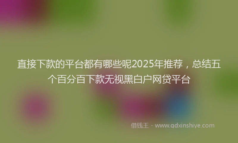 直接下款的平台都有哪些呢2025年推荐，总结五个百分百下款无视黑白户网贷平台