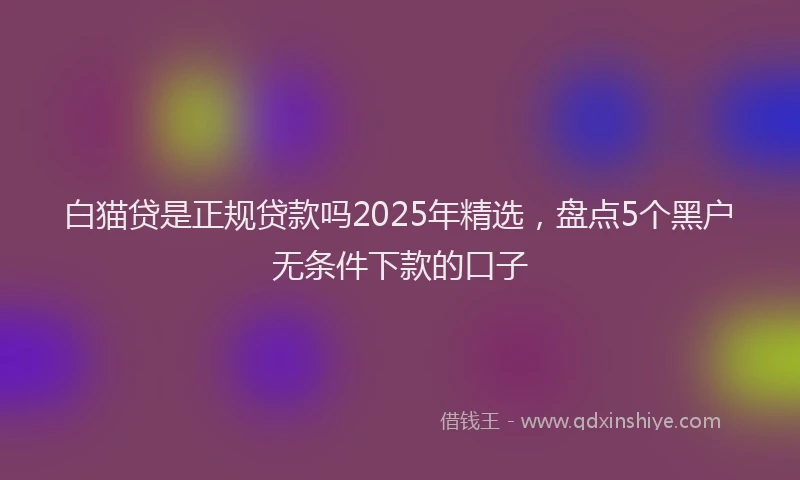 白猫贷是正规贷款吗2025年精选，盘点5个黑户无条件下款的口子