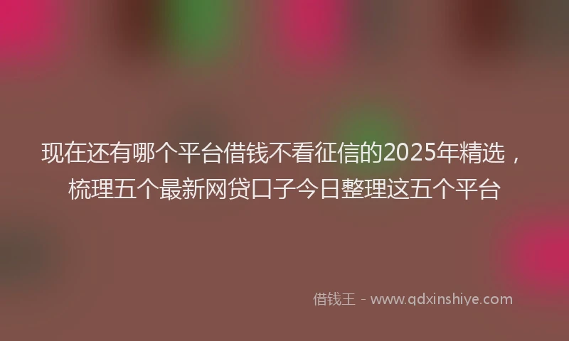 现在还有哪个平台借钱不看征信的2025年精选，梳理五个最新网贷口子今日整理这五个平台