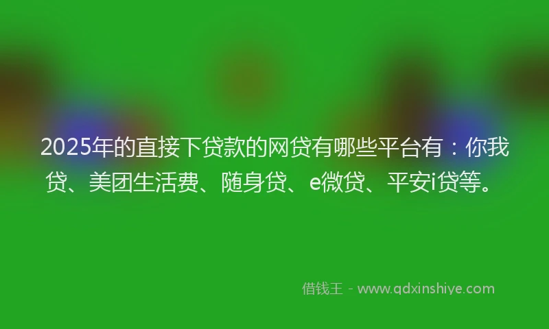 2025年的直接下贷款的网贷有哪些平台有：你我贷、美团生活费、随身贷、e微贷、平安i贷等。