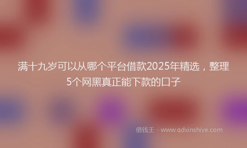 满十九岁可以从哪个平台借款2025年精选，整理5个网黑真正能下款的口子