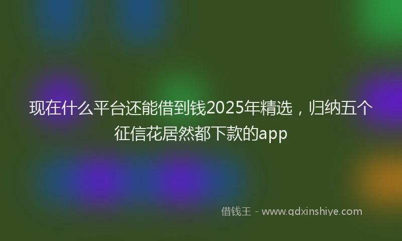 现在什么平台还能借到钱2025年精选，归纳五个征信花居然都下款的app