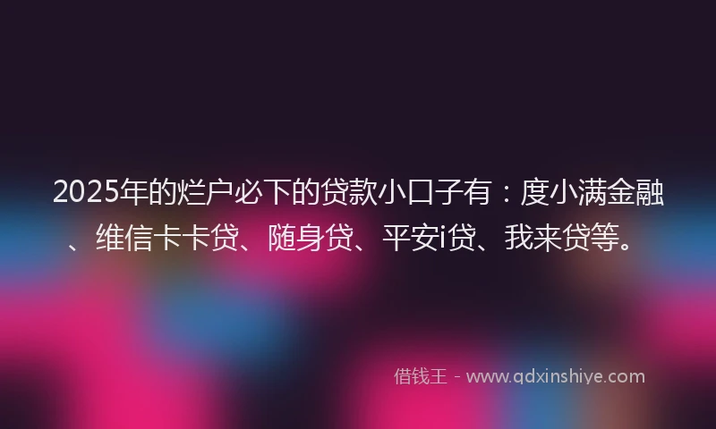 2025年的烂户必下的贷款小口子有：度小满金融、维信卡卡贷、随身贷、平安i贷、我来贷等。