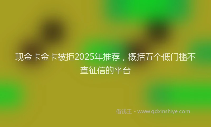 现金卡金卡被拒2025年推荐，概括五个低门槛不查征信的平台
