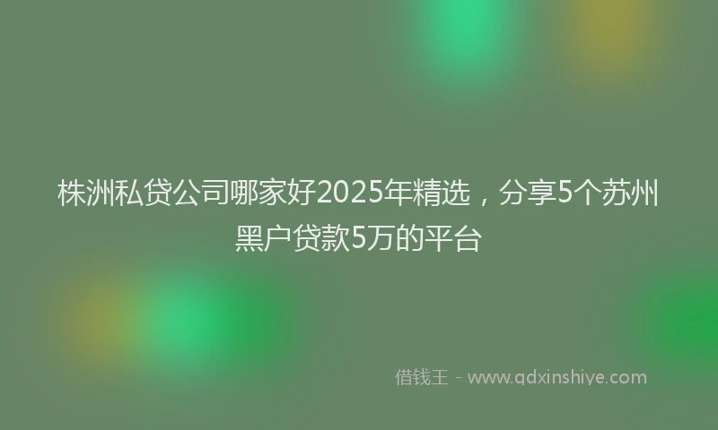株洲私贷公司哪家好2025年精选，分享5个苏州黑户贷款5万的平台