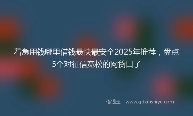着急用钱哪里借钱最快最安全2025年推荐，盘点5个对征信宽松的网贷口子