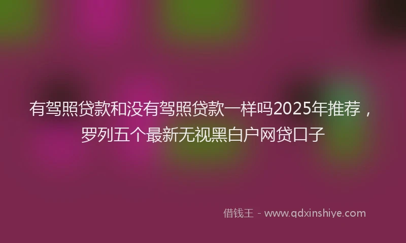 有驾照贷款和没有驾照贷款一样吗2025年推荐，罗列五个最新无视黑白户网贷口子