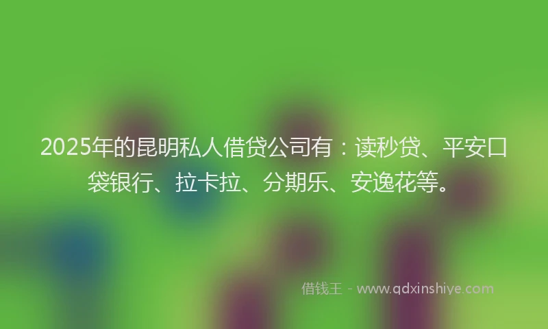 2025年的昆明私人借贷公司有：读秒贷、平安口袋银行、拉卡拉、分期乐、安逸花等。