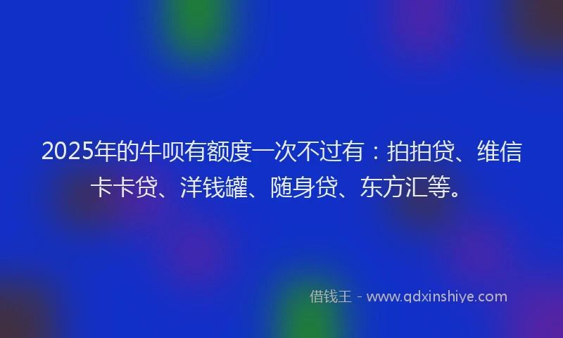 2025年的牛呗有额度一次不过有：拍拍贷、维信卡卡贷、洋钱罐、随身贷、东方汇等。