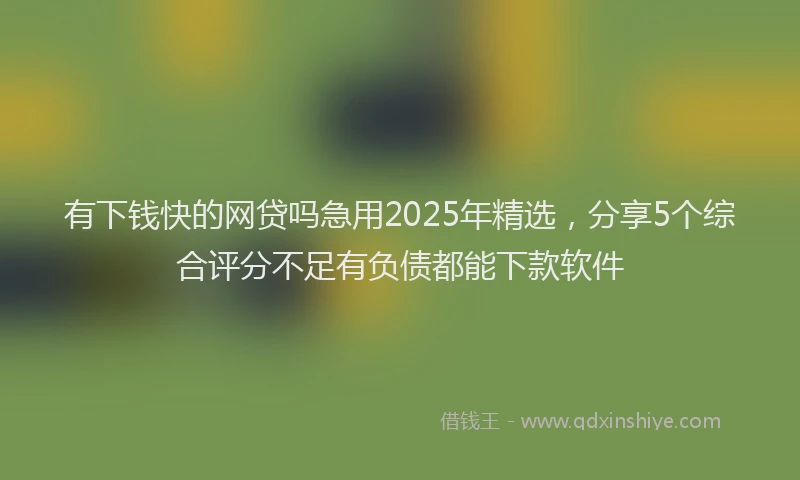 有下钱快的网贷吗急用2025年精选，分享5个综合评分不足有负债都能下款软件