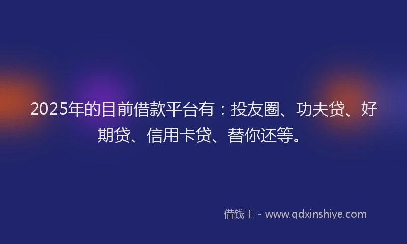 2025年的目前借款平台有：投友圈、功夫贷、好期贷、信用卡贷、替你还等。