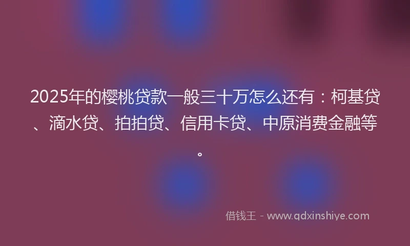 2025年的樱桃贷款一般三十万怎么还有：柯基贷、滴水贷、拍拍贷、信用卡贷、中原消费金融等。