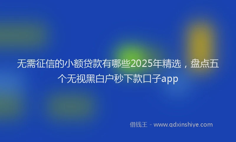 无需征信的小额贷款有哪些2025年精选，盘点五个无视黑白户秒下款口子app