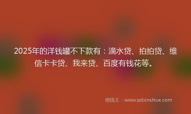 2025年的洋钱罐不下款有：滴水贷、拍拍贷、维信卡卡贷、我来贷、百度有钱花等。