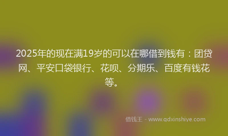 2025年的现在满19岁的可以在哪借到钱有：团贷网、平安口袋银行、花呗、分期乐、百度有钱花等。