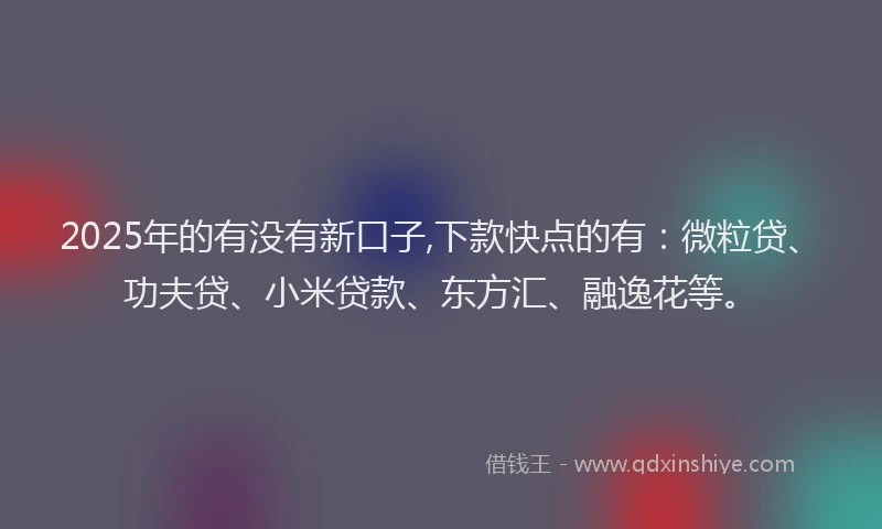 2025年的有没有新口子,下款快点的有：微粒贷、功夫贷、小米贷款、东方汇、融逸花等。