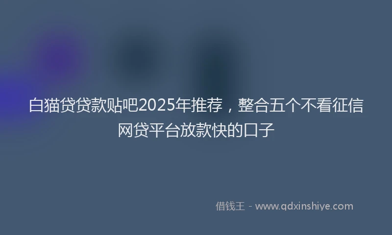 白猫贷贷款贴吧2025年推荐，整合五个不看征信网贷平台放款快的口子
