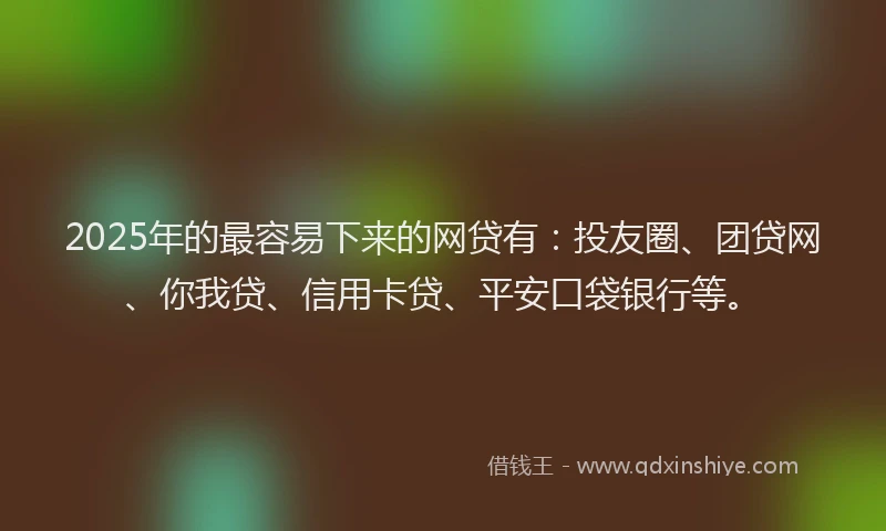 2025年的最容易下来的网贷有：投友圈、团贷网、你我贷、信用卡贷、平安口袋银行等。