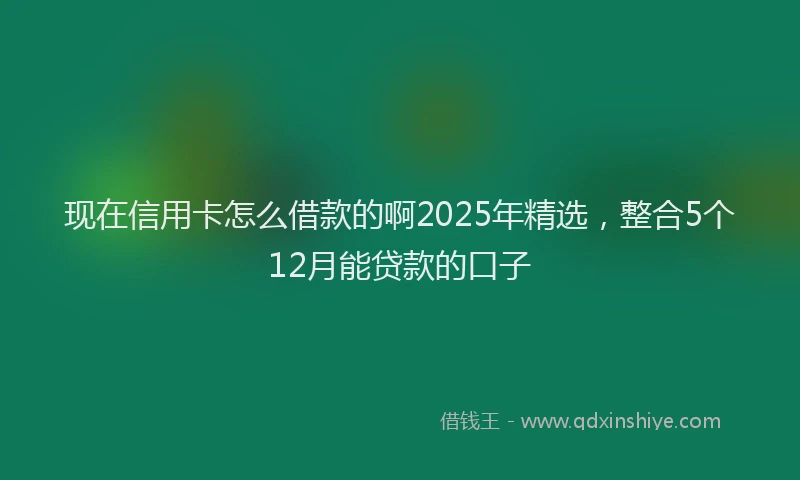 现在信用卡怎么借款的啊2025年精选，整合5个12月能贷款的口子