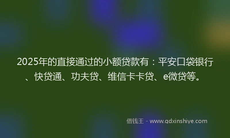 2025年的直接通过的小额贷款有：平安口袋银行、快贷通、功夫贷、维信卡卡贷、e微贷等。