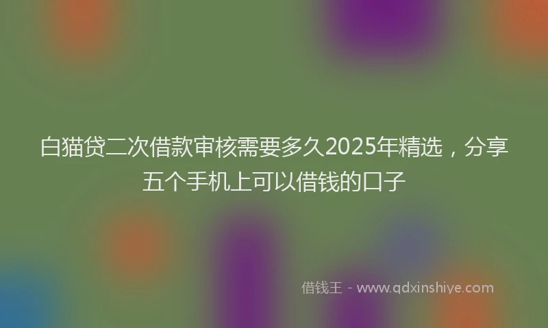 白猫贷二次借款审核需要多久2025年精选，分享五个手机上可以借钱的口子
