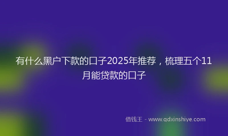 有什么黑户下款的口子2025年推荐，梳理五个11月能贷款的口子