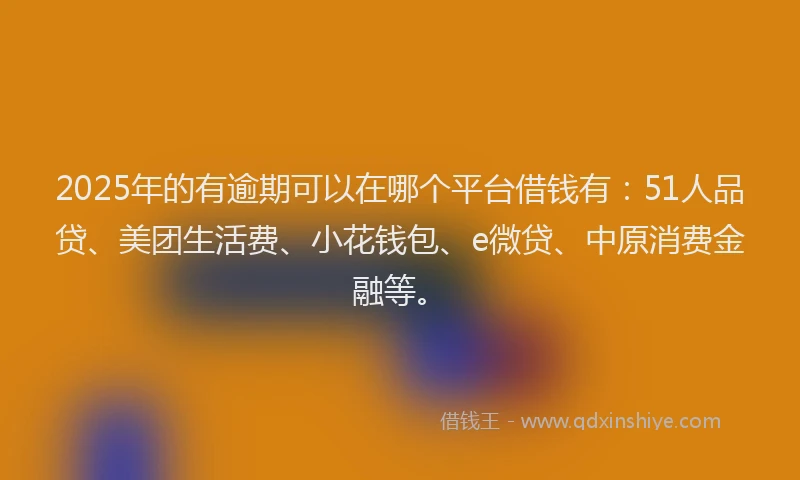 2025年的有逾期可以在哪个平台借钱有：51人品贷、美团生活费、小花钱包、e微贷、中原消费金融等。