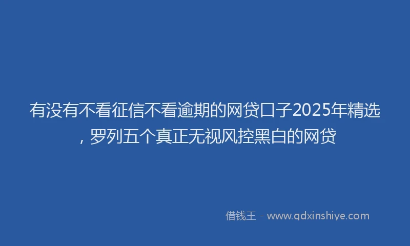 有没有不看征信不看逾期的网贷口子2025年精选，罗列五个真正无视风控黑白的网贷
