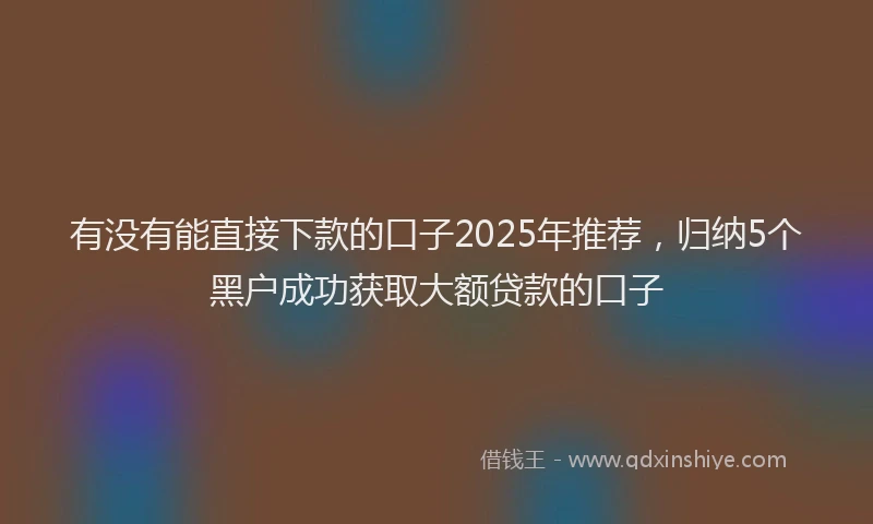 有没有能直接下款的口子2025年推荐，归纳5个黑户成功获取大额贷款的口子