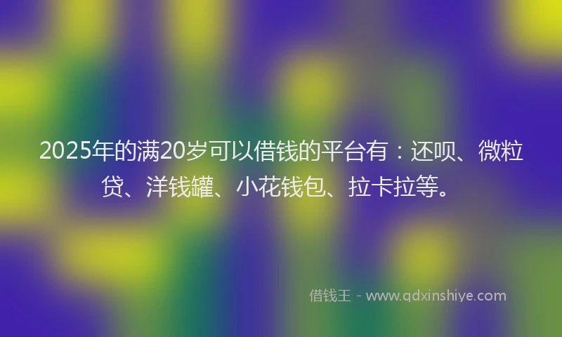 2025年的满20岁可以借钱的平台有：还呗、微粒贷、洋钱罐、小花钱包、拉卡拉等。