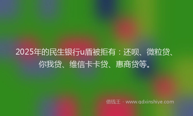 2025年的民生银行u盾被拒有：还呗、微粒贷、你我贷、维信卡卡贷、惠商贷等。