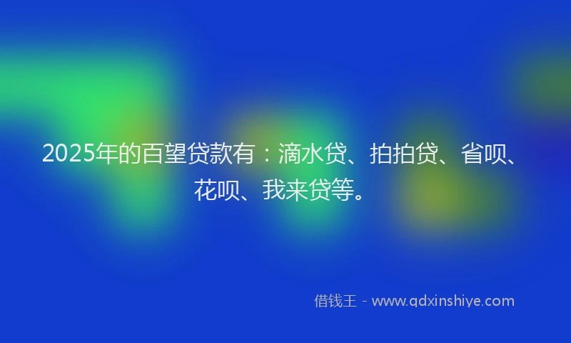 2025年的百望贷款有：滴水贷、拍拍贷、省呗、花呗、我来贷等。