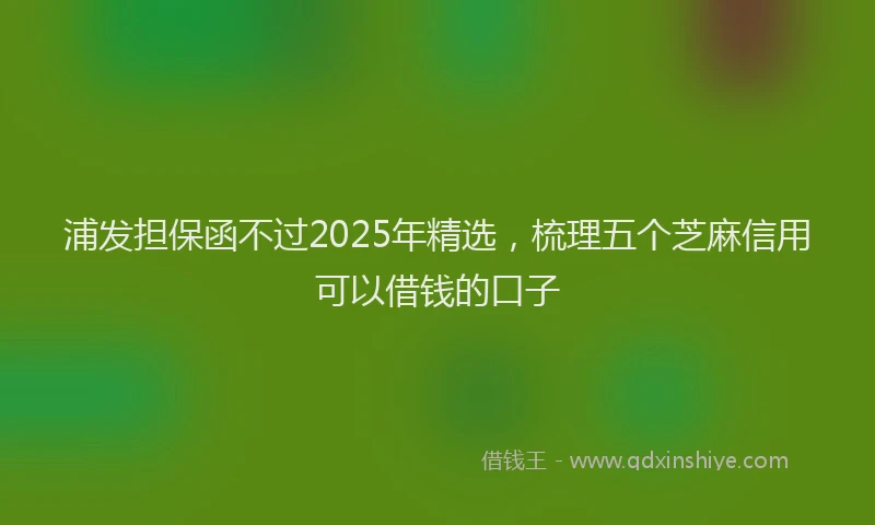 浦发担保函不过2025年精选，梳理五个芝麻信用可以借钱的口子