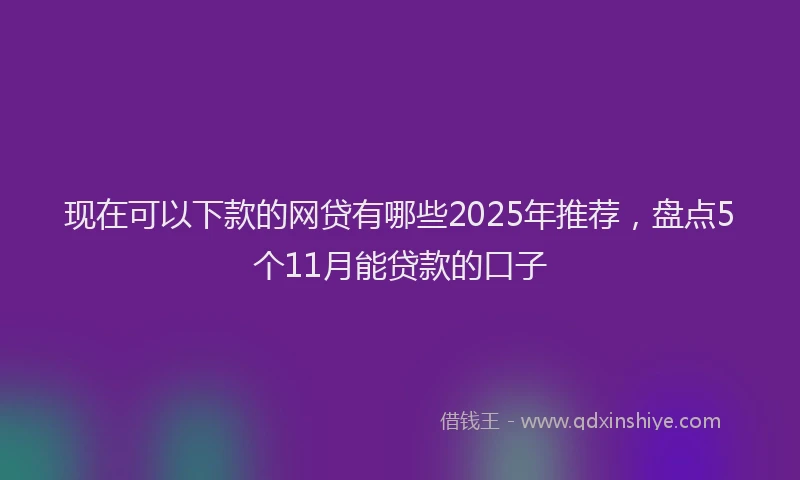现在可以下款的网贷有哪些2025年推荐，盘点5个11月能贷款的口子