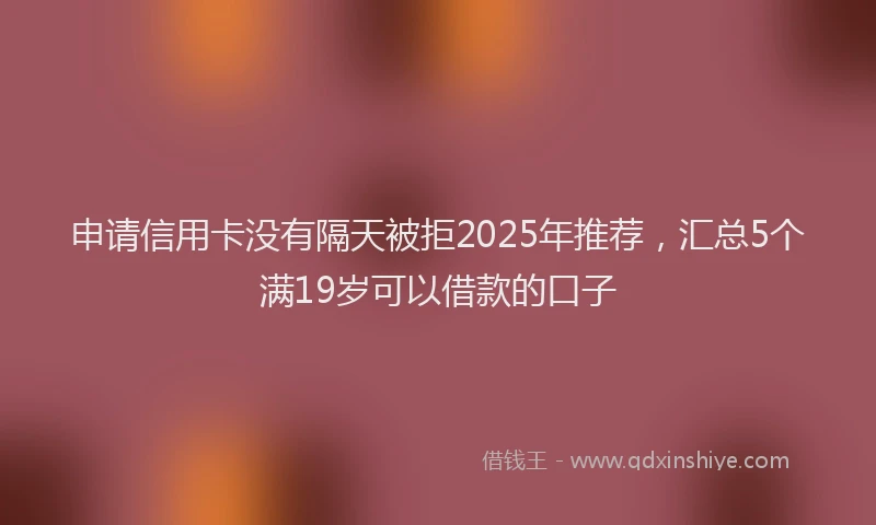 申请信用卡没有隔天被拒2025年推荐，汇总5个满19岁可以借款的口子