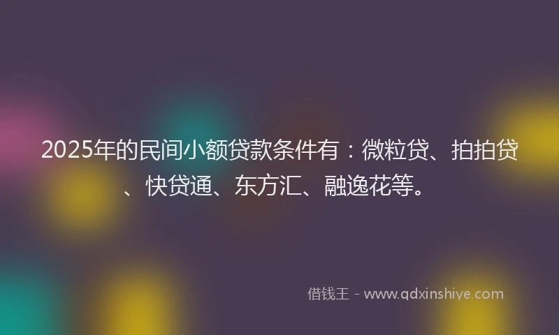2025年的民间小额贷款条件有：微粒贷、拍拍贷、快贷通、东方汇、融逸花等。
