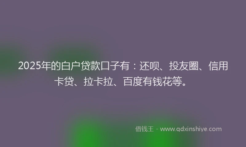 2025年的白户贷款口子有：还呗、投友圈、信用卡贷、拉卡拉、百度有钱花等。