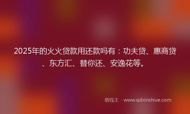 2025年的火火贷款用还款吗有：功夫贷、惠商贷、东方汇、替你还、安逸花等。