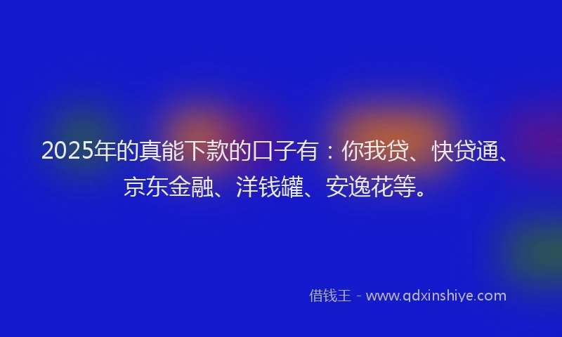 2025年的真能下款的口子有：你我贷、快贷通、京东金融、洋钱罐、安逸花等。