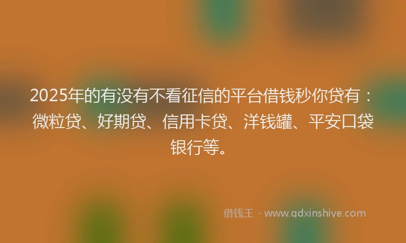 2025年的有没有不看征信的平台借钱秒你贷有：微粒贷、好期贷、信用卡贷、洋钱罐、平安口袋银行等。