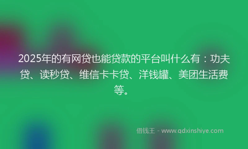 2025年的有网贷也能贷款的平台叫什么有：功夫贷、读秒贷、维信卡卡贷、洋钱罐、美团生活费等。