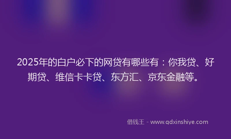 2025年的白户必下的网贷有哪些有：你我贷、好期贷、维信卡卡贷、东方汇、京东金融等。