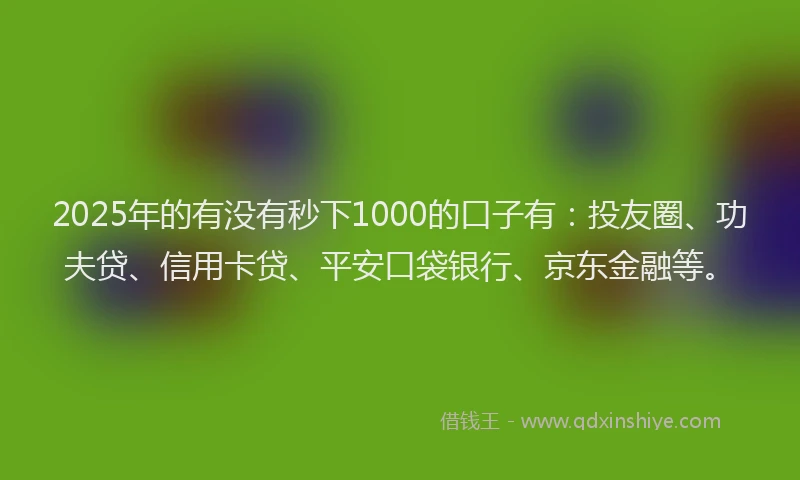 2025年的有没有秒下1000的口子有：投友圈、功夫贷、信用卡贷、平安口袋银行、京东金融等。