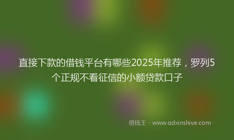 直接下款的借钱平台有哪些2025年推荐，罗列5个正规不看征信的小额贷款口子